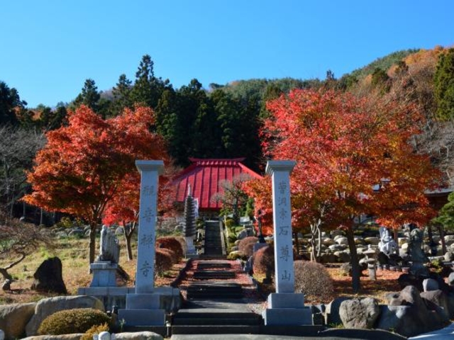 �Α��R�ω����̎ʐ^1