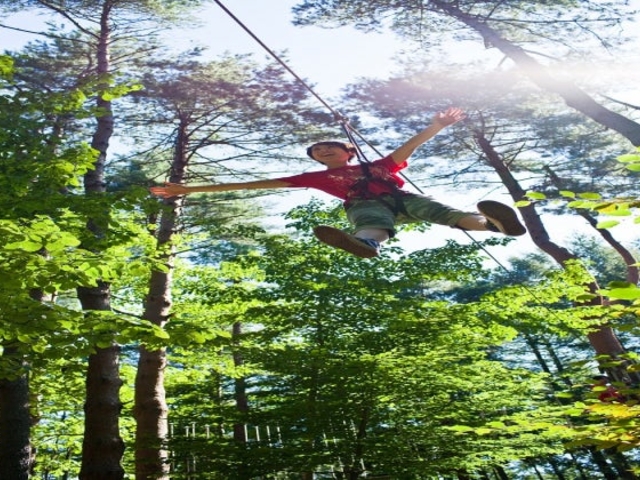 �t�H���X�g�A�h�x���`���[�E����_�t�H���X�g�A�h�x���`���[�E����