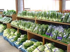 �_�Y���������@���E����̎ʐ^1