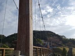 文化の森公園の写真1