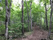 �J��R�̎ʐ^3