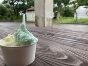 �����̂��݂₰������ �������}�̎ʐ^2