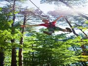 �t�H���X�g�A�h�x���`���[�E�����̎ʐ^2