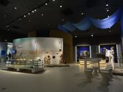 �L�c��Ճ~���[�W�A���̎ʐ^2