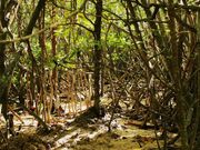 �q���M�ѓ��V�����̎ʐ^2