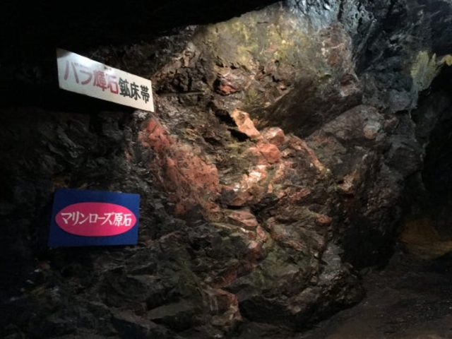 �}�������[�Y�p�[�N��c�ʐ�n�������ق̎ʐ^1