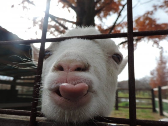 ���M_�j�ӂ��[��