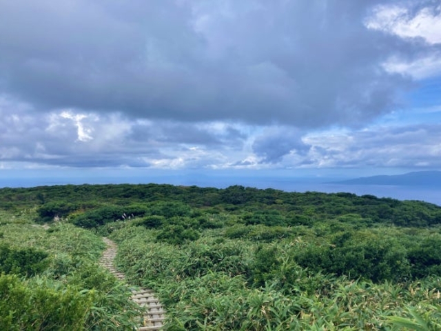 �錴�����̎ʐ^1