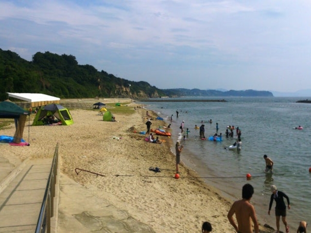 �V�s�u�C������̎ʐ^1