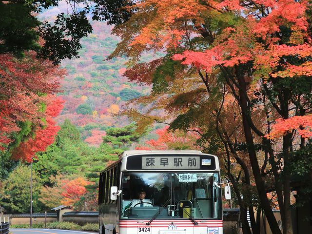 �����S��