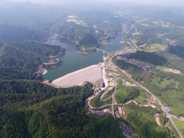 �ȂȂ��_���̎ʐ^1