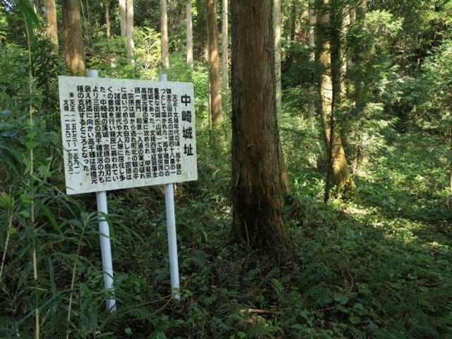 ����隬�̎ʐ^1