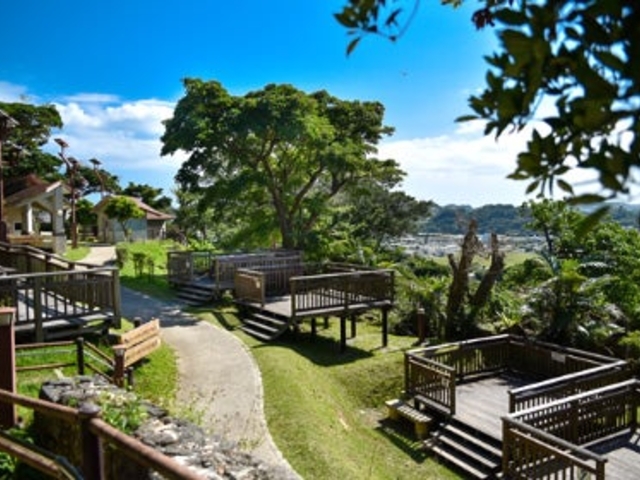 ���₩��̓m�@�L�����v��̎ʐ^1