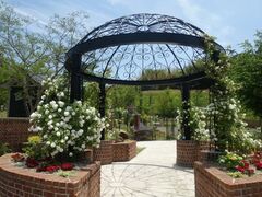 �v�����X�E�E�B���A���Y�E�p�[�N�̎ʐ^1