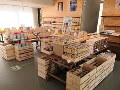 ���Β����̎ʐ^1