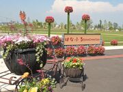 �Ԃ̋��_�i�͂Ȃӂ�j�̎ʐ^1