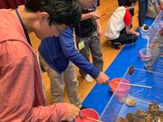 ���E�L�^��_���I�z�^�e�ނ�̌��̎ʐ^2