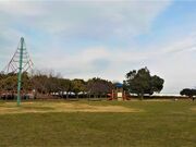 ��F�����̎ʐ^2