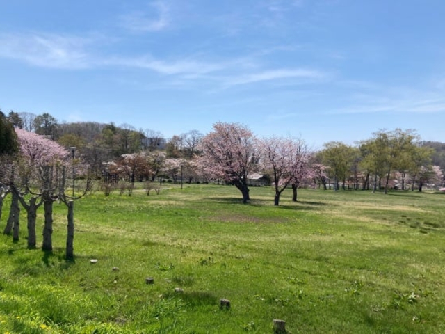 �L�Y�����_�����̎ʐ^1