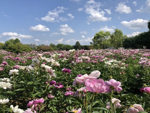 ���Ή��O���̎ʐ^1