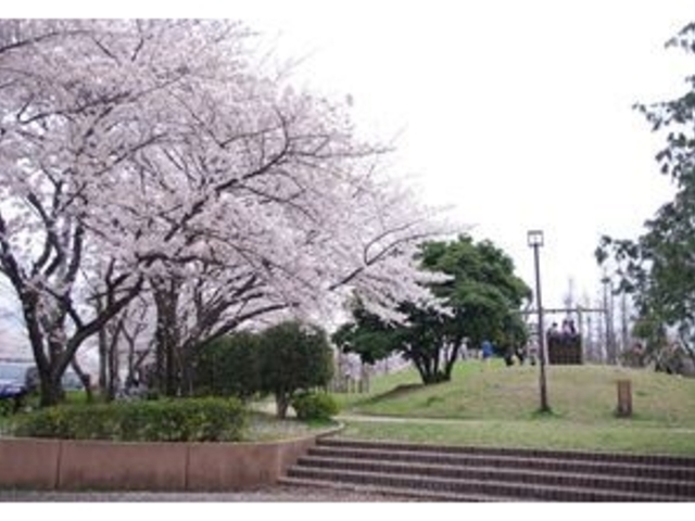 �֌����̎ʐ^1