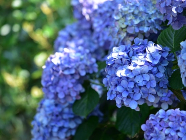 �n���̊ۂ�������u�ӂꂠ���L��̂��������̎ʐ^1