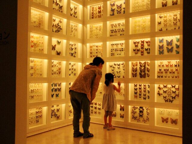 �\�����s�����R�Ȋw�ف@�z�㏼�V�R�u�X�̊w�Z�v�L�������̎ʐ^1