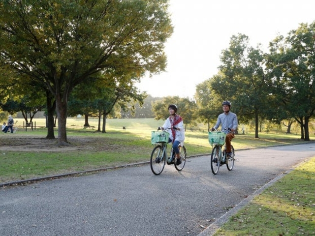 �����ӂ郌���^�T�C�N���@�m������Y�߂���n