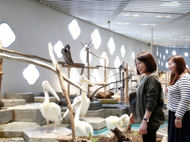 �j�t�����y�������̊ӏ܁z�̎ʐ^1