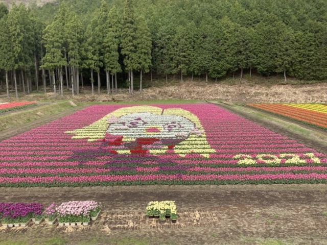 �A���V���N���[�h�ό�����̎ʐ^1