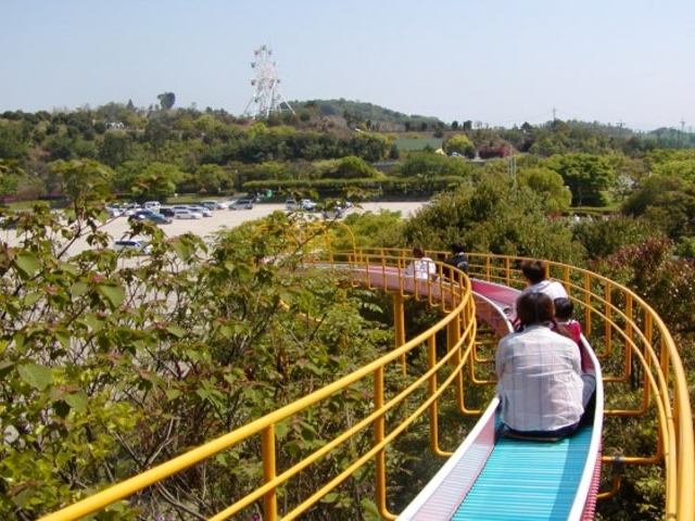 �S��255���̃��[���[�����_�a�ؒ��I������������