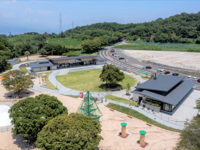 Bee+�i�r�[�v���X�j�G���A_�a�ؒ��I������������