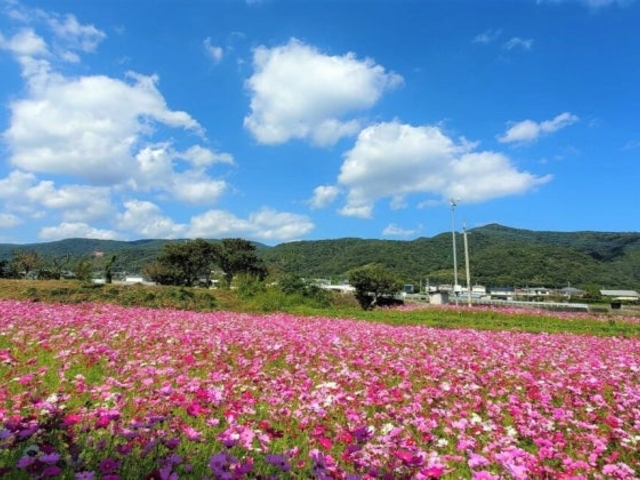 �喓���R�X���X���̎ʐ^1