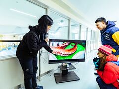 ���Ԃ蕬�Θp���� �L�Y�x�� �Z�����w�c�A�[�̎ʐ^1