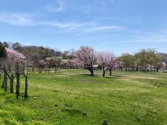 �L�Y�����_�����̎ʐ^1