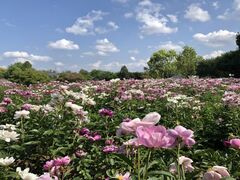 ���Ή��O���̎ʐ^1