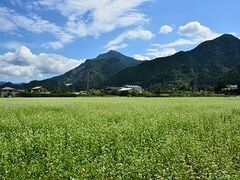 �����ԉԌ��̗��̎ʐ^1