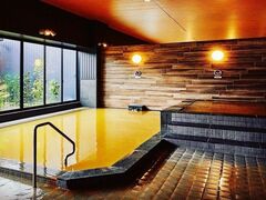 �A�N�A�C�O�j�X�����쉷��̎ʐ^1