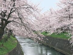 �����s�������ݓn���̍����؂̎ʐ^1