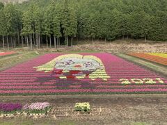 �A���V���N���[�h�ό�����̎ʐ^1