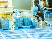 ���Ԃ蕬�Θp���� �L�Y�x�� �Z�����w�c�A�[�̎ʐ^2