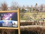 �֌����̎ʐ^2