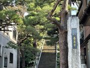 �����@�{�򎛂̎ʐ^4