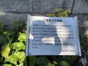 ���@��l�����̗��̎ʐ^2