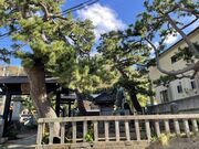 ���@��l�����̗��̎ʐ^3