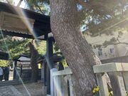 ���@��l�����̗��̎ʐ^4