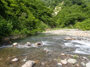 �g�������R�̊��̋��̎ʐ^4