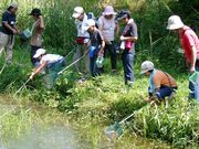 �\�����s�����R�Ȋw�ف@�z�㏼�V�R�u�X�̊w�Z�v�L�������̎ʐ^2