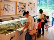 �\�����s�����R�Ȋw�ف@�z�㏼�V�R�u�X�̊w�Z�v�L�������̎ʐ^3