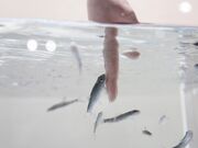 �j�t�����y�������̊ӏ܁z�̎ʐ^3